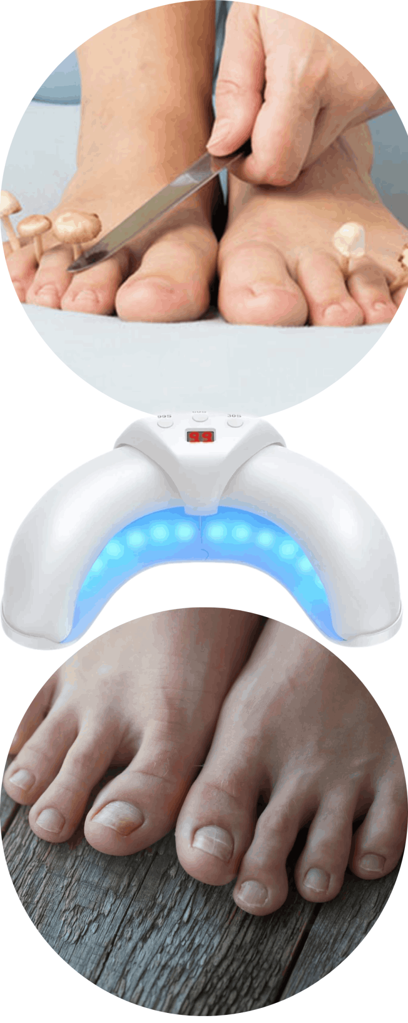 Welnax BioClear 2